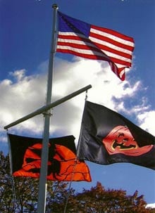 Flags on pole